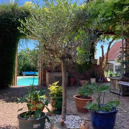 Le Grenier - Piscine Et