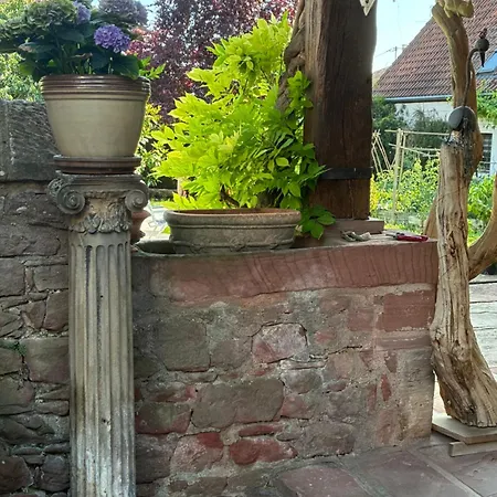 Le Grenier - Piscine Et