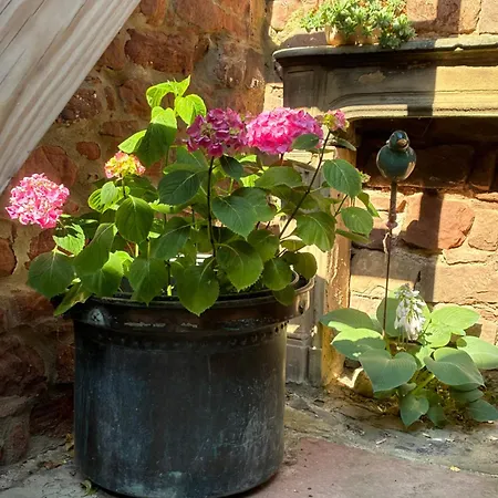 Apartman Le Grenier - Piscine Et *