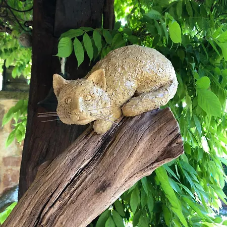 Le Grenier - Piscine Et * Marlenheim