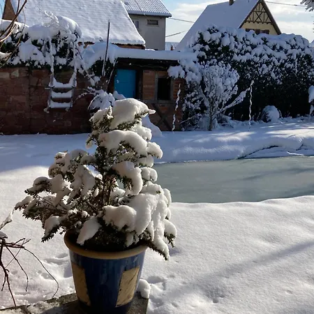 Le Grenier - Piscine Et