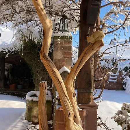 Apartman Le Grenier - Piscine Et Marlenheim