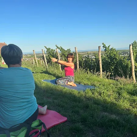 Le Grenier - Piscine Et Apartman *