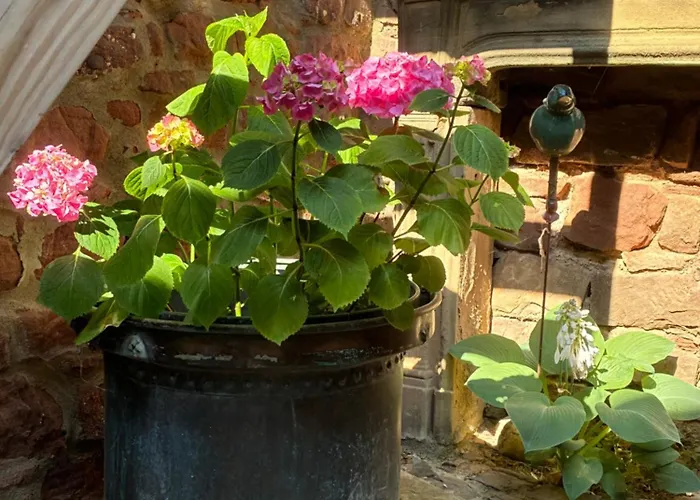 Lejlighed Le Grenier - Piscine Et *