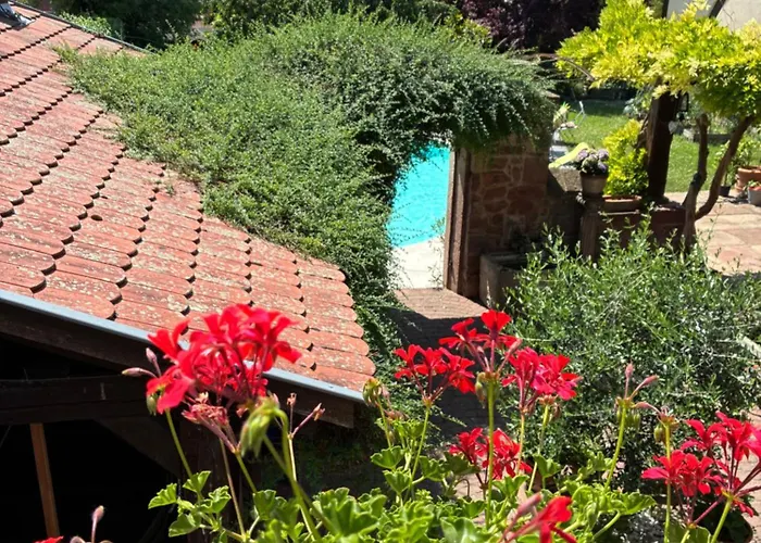 Le Grenier - Piscine Et