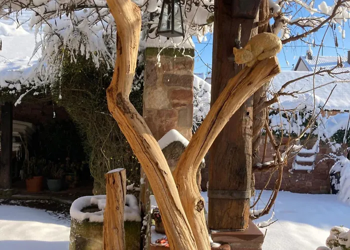 Lejlighed Le Grenier - Piscine Et Marlenheim