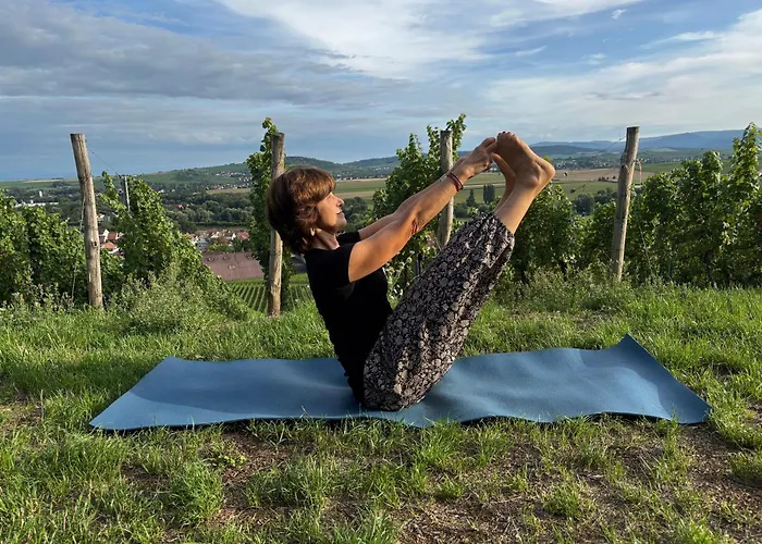Le Grenier - Piscine Et Lejlighed