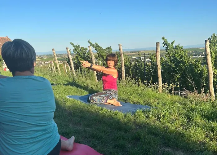 Le Grenier - Piscine Et Lejlighed *